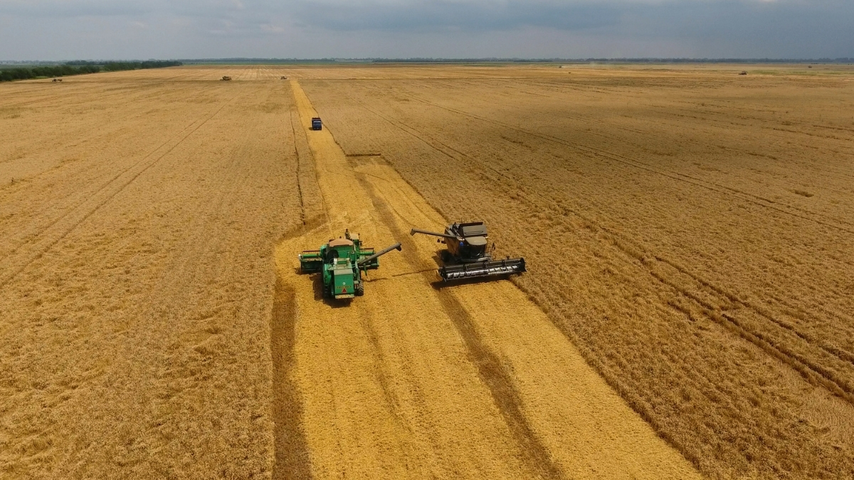 SRD Makine - Biz Kimiz